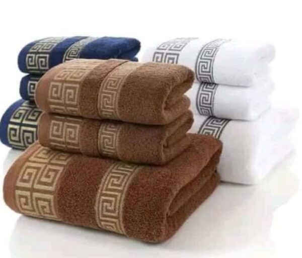3in1 bath towel