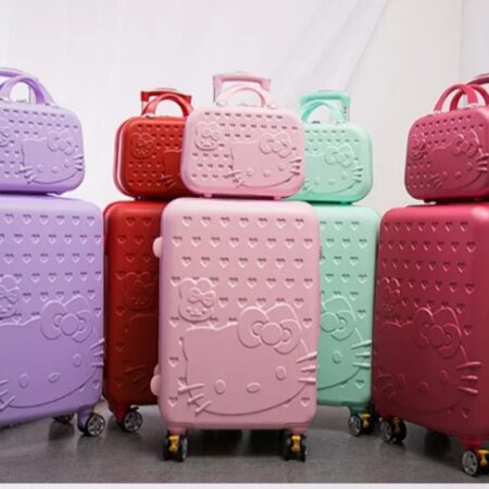 2 in 1 Travel suitcase